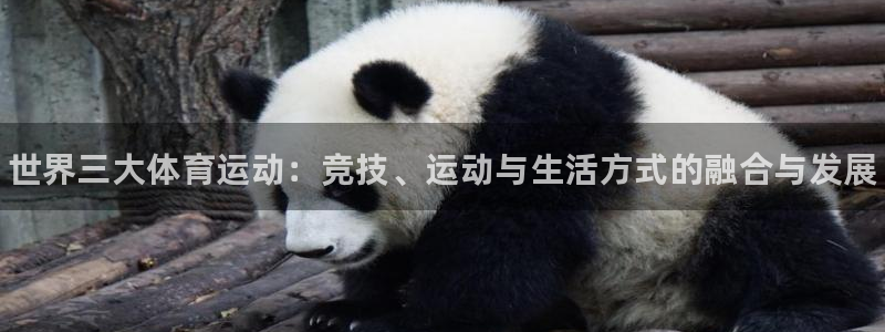 MK体育官网下载平台假的吗是真的吗：世界三大体育运动