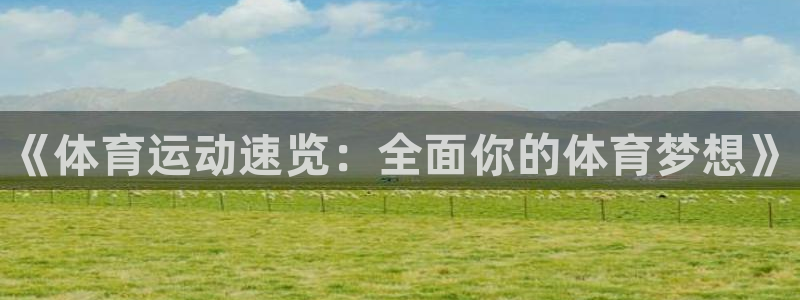 MK体育官方正版app集团：《体育运动速览：全面你的