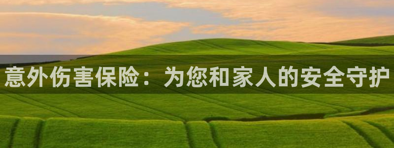 MK体育官网下载软件：意外伤害保险：为您和家人的安全守护