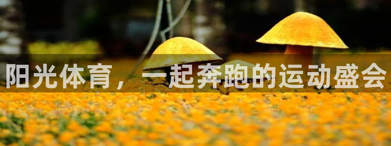 MK体育官网下载招商电话：阳光体育，一起奔跑的运动盛