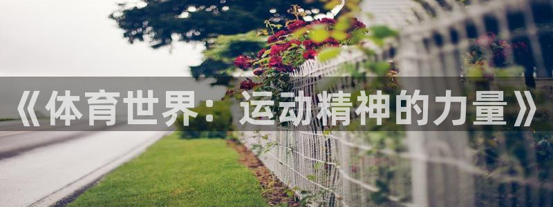 MK体育官方正版app科技：《体育世界：运动精神的力