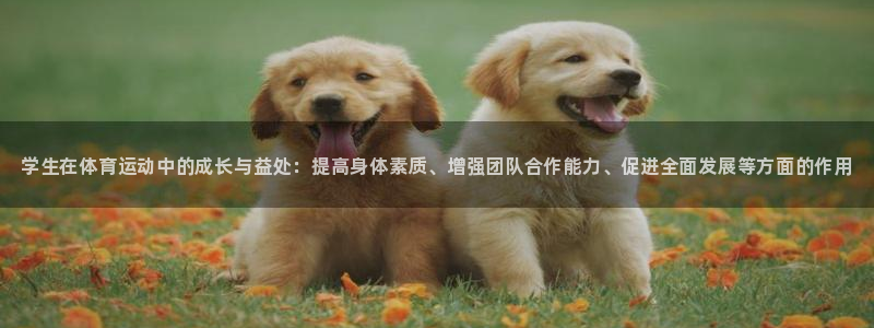 MK体育官网下载招商电话地址：学生在体育运动中的成长与益处：