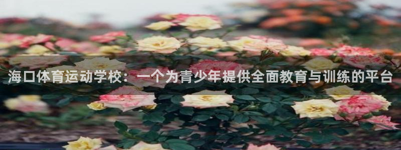 MK体育官方正版app娱乐：海口体育运动学校：一个为