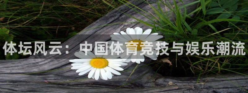 MK体育官方正版app官网：体坛风云：中国体育竞技与