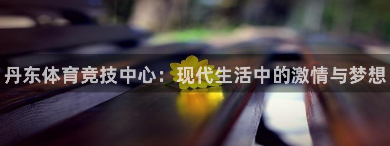 MK体育官网下载平台是正规平台吗安全吗：丹东体育竞技