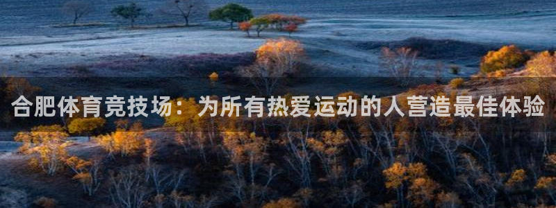 海南MK体育官网下载：合肥体育竞技场：为所有热爱运动的人营造