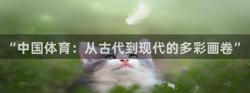 MK体育官方正版app官网