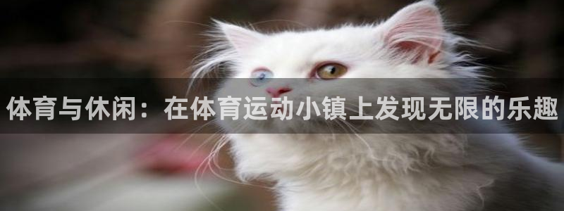 MK体育官网下载平台是正规平台吗安全吗：体育与休闲：