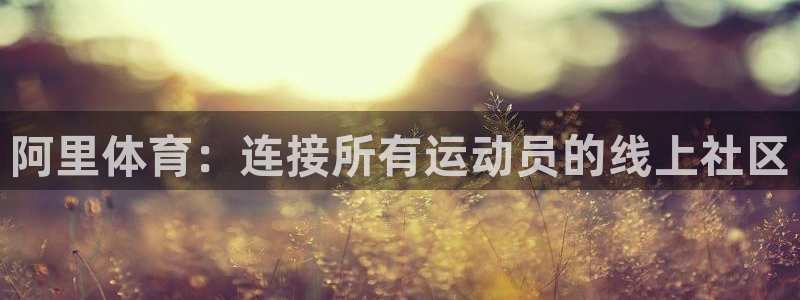 MK体育官网下载平台是正规平台吗知乎：阿里体育：连接
