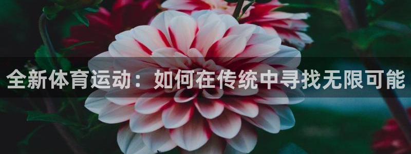 MK体育官网下载招商电话：全新体育运动：如何在传统中
