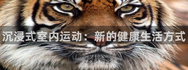 MK体育官网下载平台注册要钱吗是真的吗：沉浸式室内运