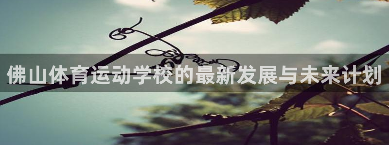 MK体育官方正版app集团官网网址：佛山体育运动学校