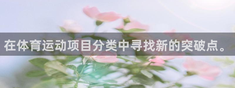 MK体育官方正版app科技：在体育运动项目分类中寻找