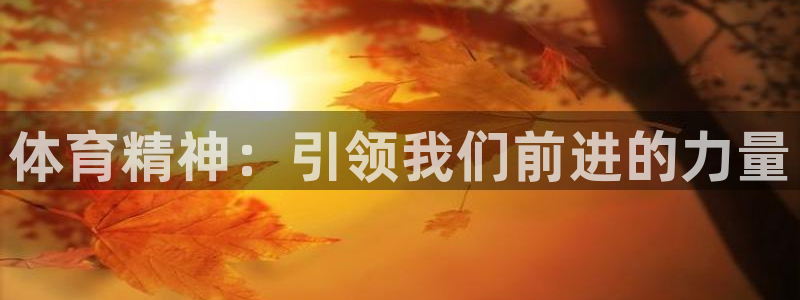 MK体育官方正版app娱乐首页官网下载：体育精神：引