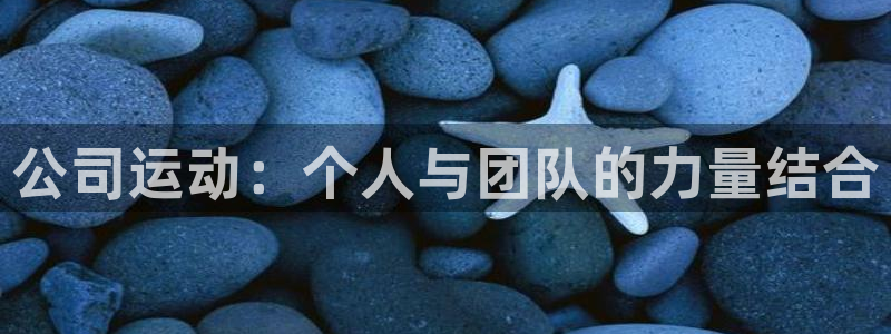 MK体育官网下载平台假的吗是真的吗：公司运动：个人与