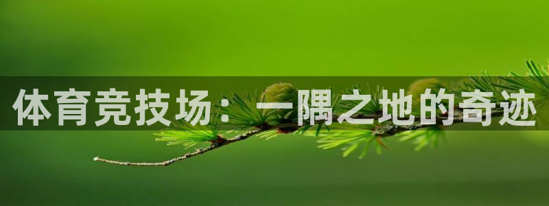 海南MK体育官网下载：体育竞技场：一隅之地的奇迹