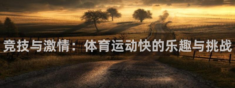 MK体育官网下载招商电话号码是多少：竞技与激情：体育