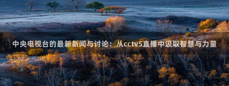 小九nba直播在线观看：中央电视台的最新新闻与讨论：从cctv5直播中汲取智慧与力量