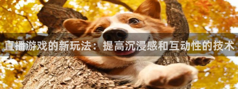 nba小九直播免费观看：直播游戏的新玩法：提高沉浸感和互动性的技术