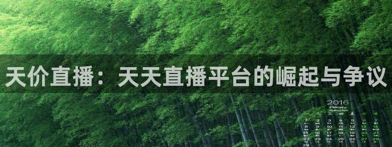小九nba直播免费：天价直播：天天直播平台的崛起与争议