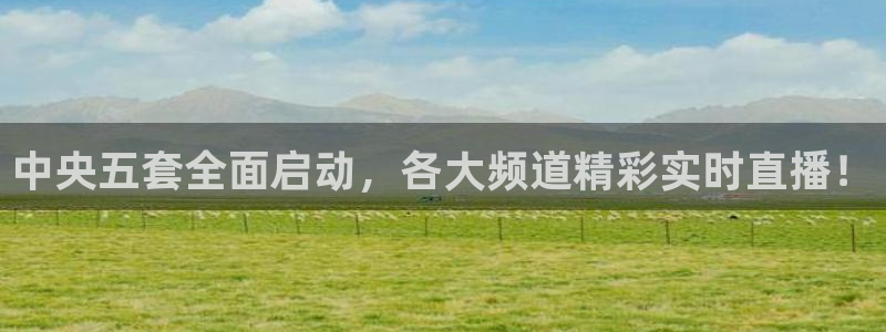 小九儿直播：中央五套全面启动，各大频道精彩实时直播！
