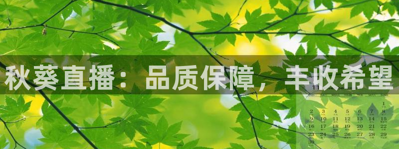 小九直播nba乐悠：秋葵直播：品质保障，丰收希望