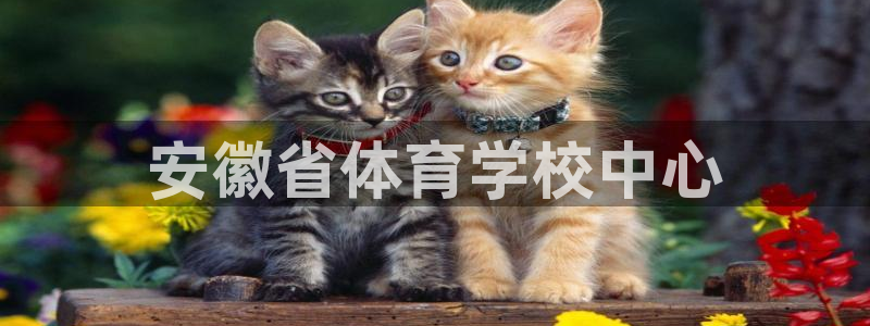 mk体育平台登录官网：安徽省体育学校