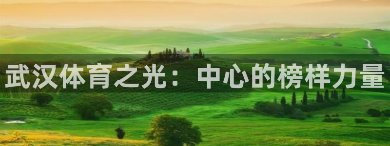 mk体育官网登录入口网址是多少：武汉
