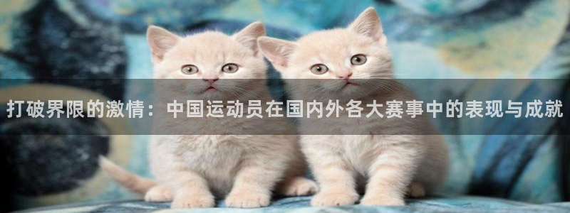 mk体育官网登录入口网址：打破界限的