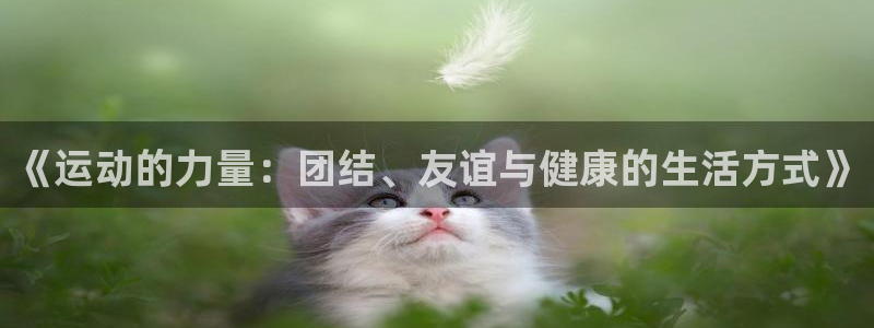 mk体育官网入口网址是多少：《运动的