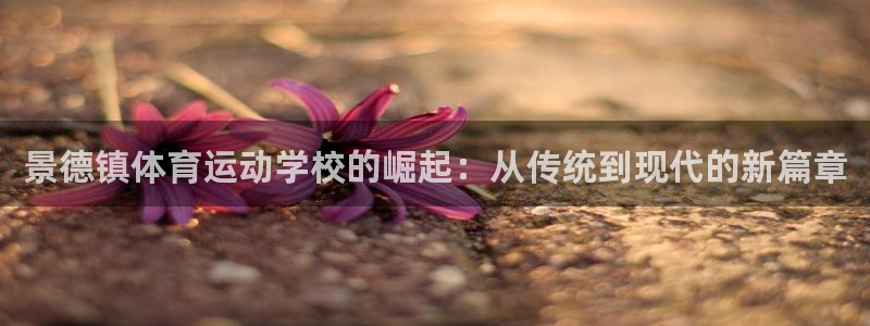 MK体育真坑：景德镇体育运动学校的崛起：从传统到现代的新篇章