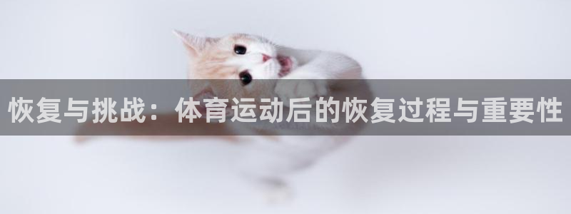 Mk体育登录入口：恢复与挑战：体育运