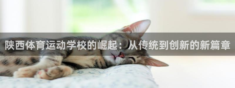MK体育与其他体育平台合作介绍：陕西体育运动学校的崛起：从传