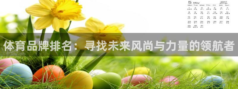 mk体育平台网页版入口：体育品牌排名