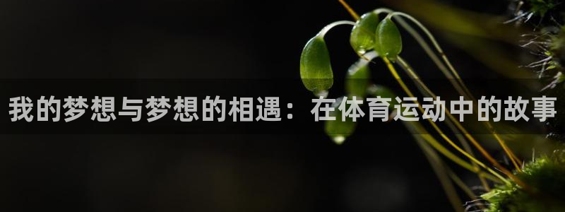 MK体育官网登录：我的梦想与梦想的相遇：在体育运动中的故事