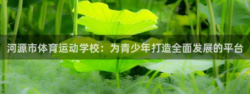 MK体育官方正版app代理：河源市体育运动学校：为青少年打造
