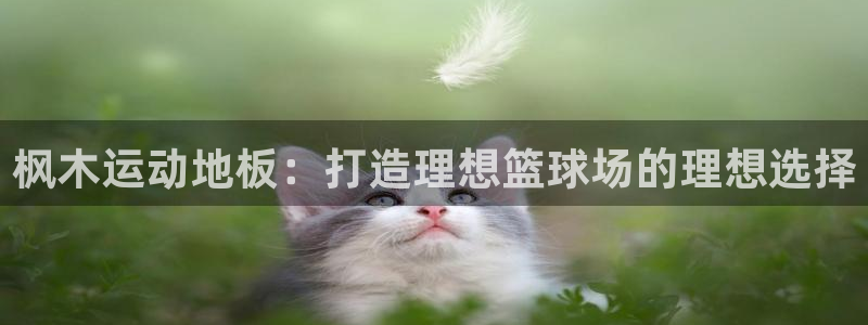 MK体育官方正版app娱乐网站：枫木运动地板：打造理想篮球场