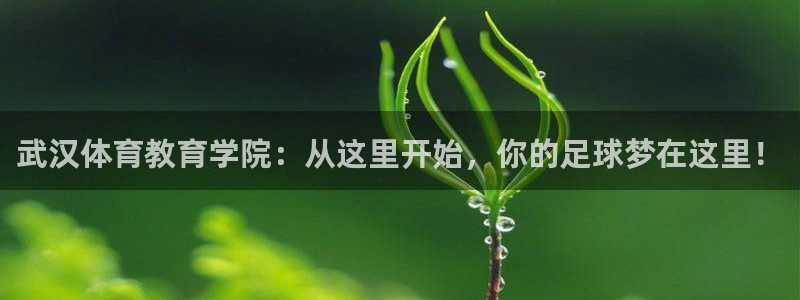 MK体育官方正版app娱乐下载：武汉体育教育学院：从这里开始