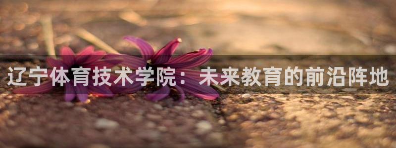 MK体育官方正版app娱乐首页网站大全