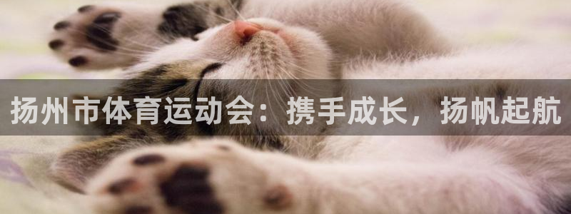 MK体育官网下载平台是正规平台吗安全吗：扬州市体育运动会：携