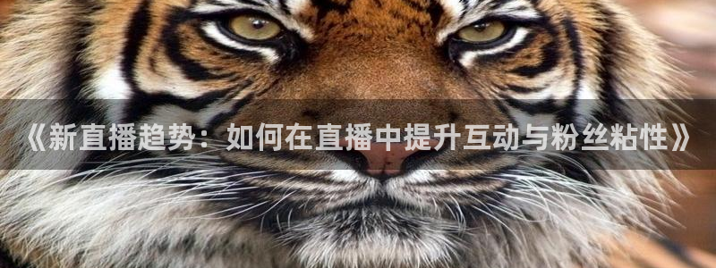 小九直播在线观看：《新直播趋势：如何在直播中提升互动与粉丝粘性》