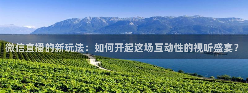 小九直播体育