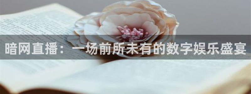 小九nba直播在线观看高清免费