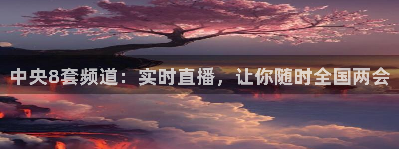 小九体育直播在线观看免费高清：中央8套频道：实时直播，让你随时全国两会