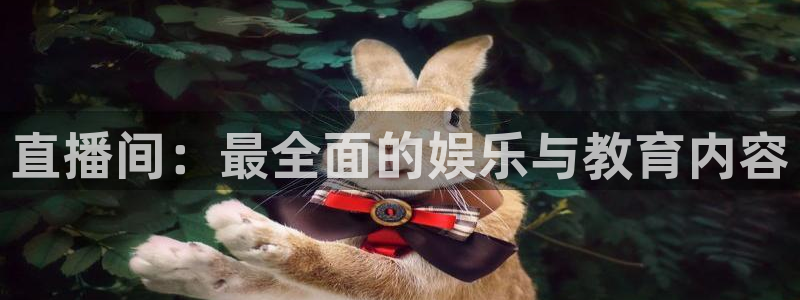 小九的视频：直播间：最全面的娱乐与教育内容