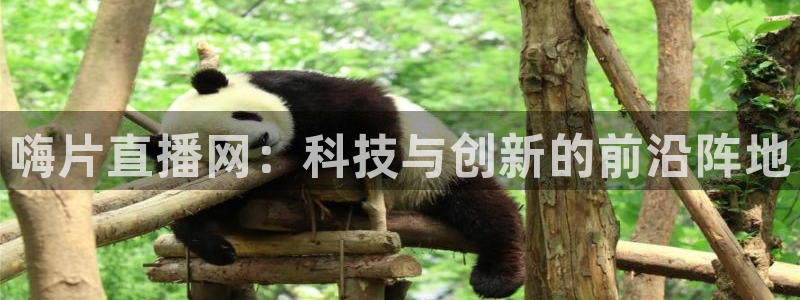 小九今天最新视频：嗨片直播网：科技与创新的前沿阵地